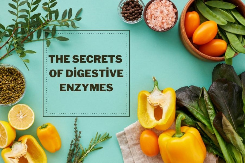 Gut Health Unleashed: The Secrets of Digestive Enzymes for Optimal Digestion